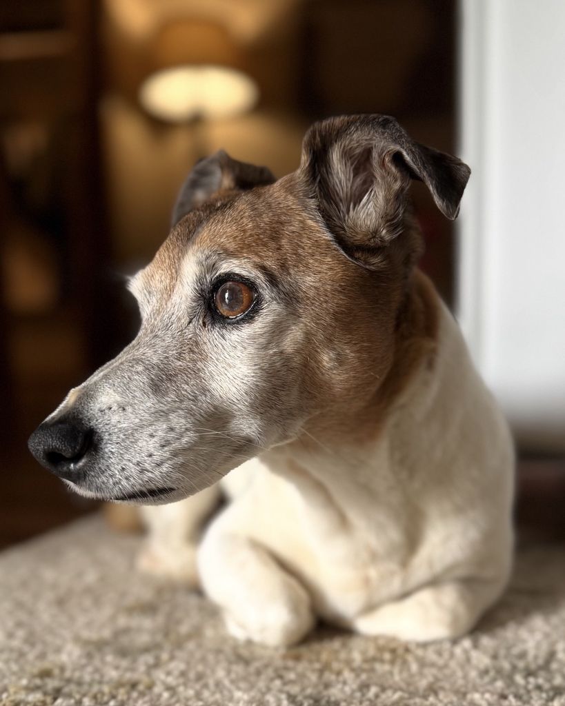 Opie Vickers Profile Photo