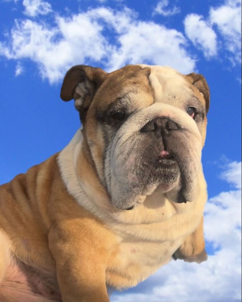 Axle Profile Photo