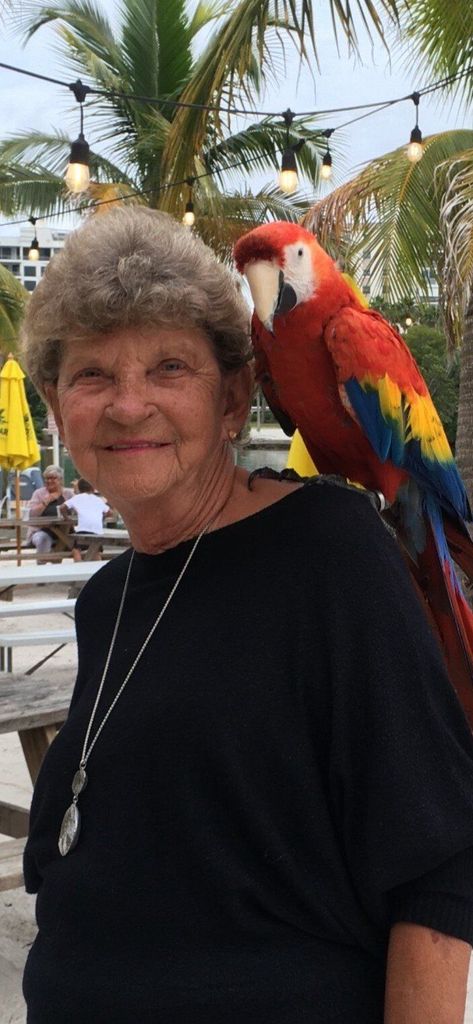 Dorothy Campbell Darnell Profile Photo