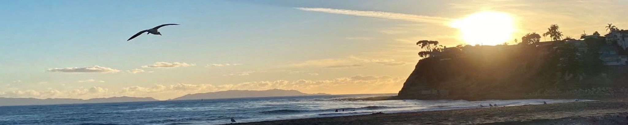 Cover for Jesus Arguelles's Obituary