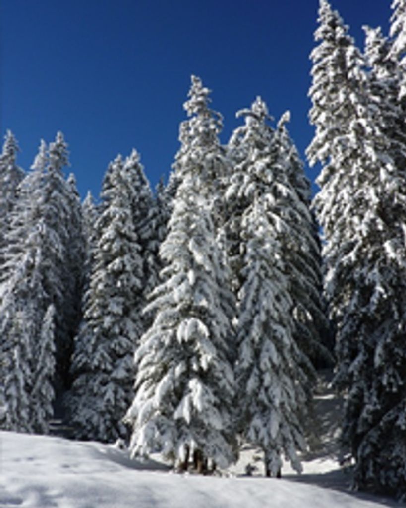 Christopher Nicholson Profile Photo