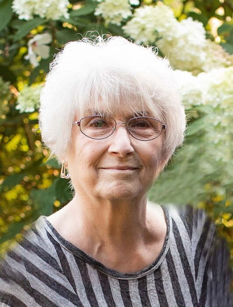 Diane Lynn (Holman)  Tressel