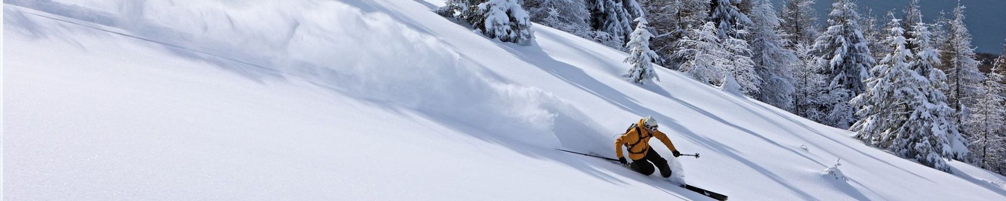 Cover for William Weir's Obituary