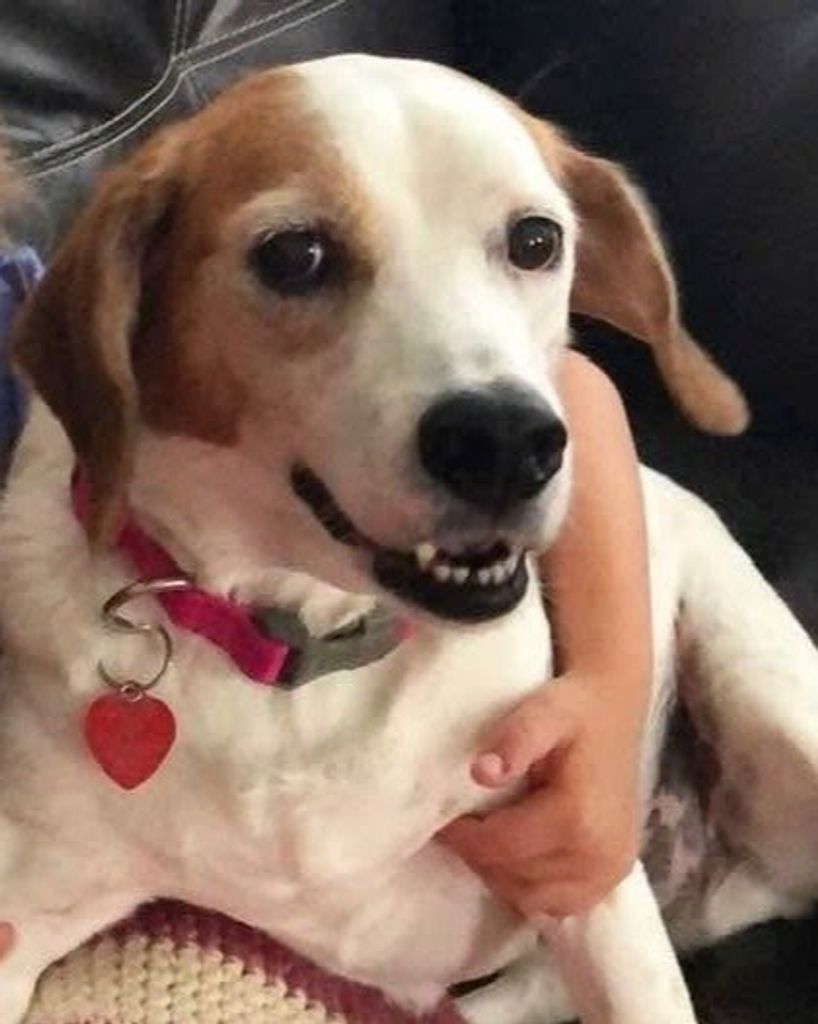 Bailey Mueller Profile Photo