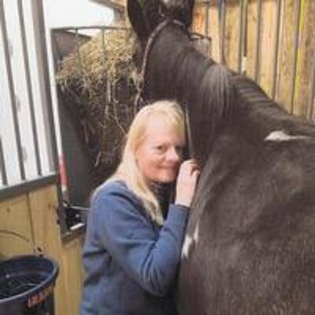 Judith Lynne Bundoff Profile Photo