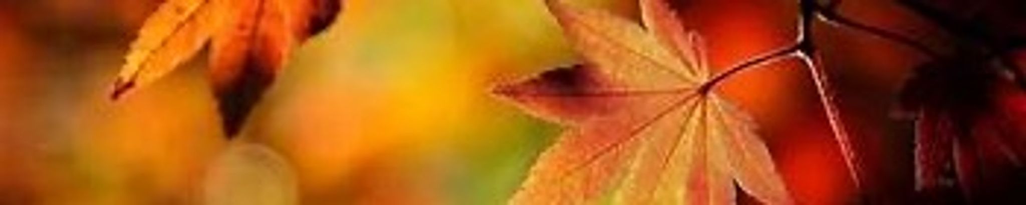 Cover photo for Brenda Mabus Hardister's Obituary