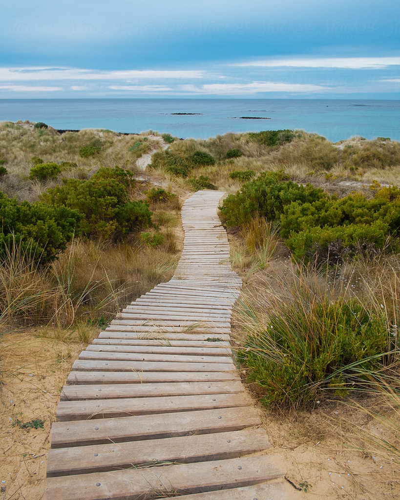 Alfred Williams IV Profile Photo