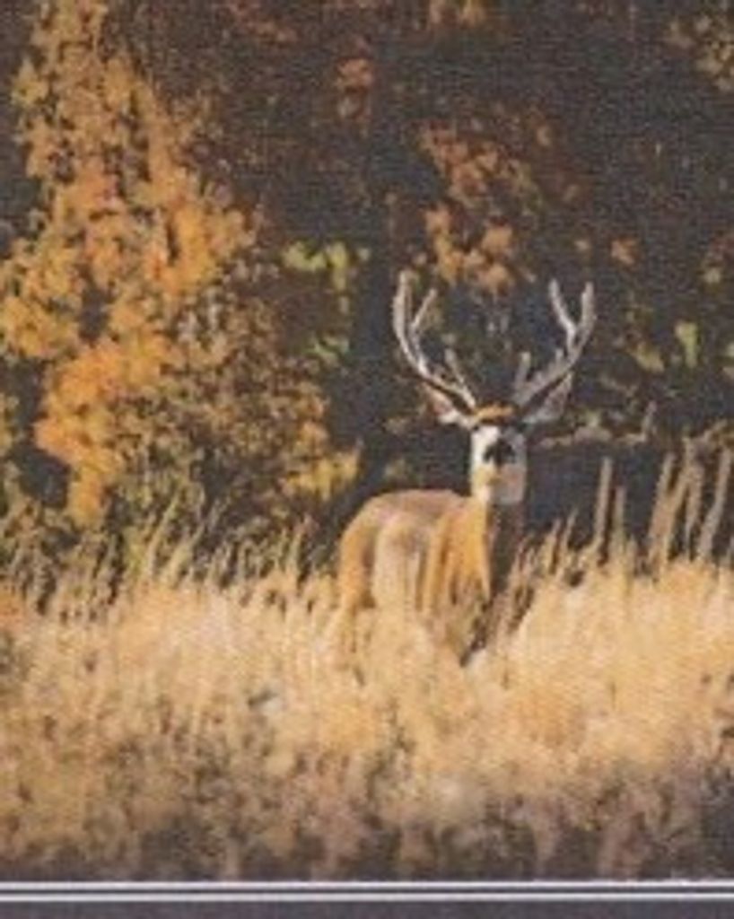 Wayne L. Sheaffer Profile Photo