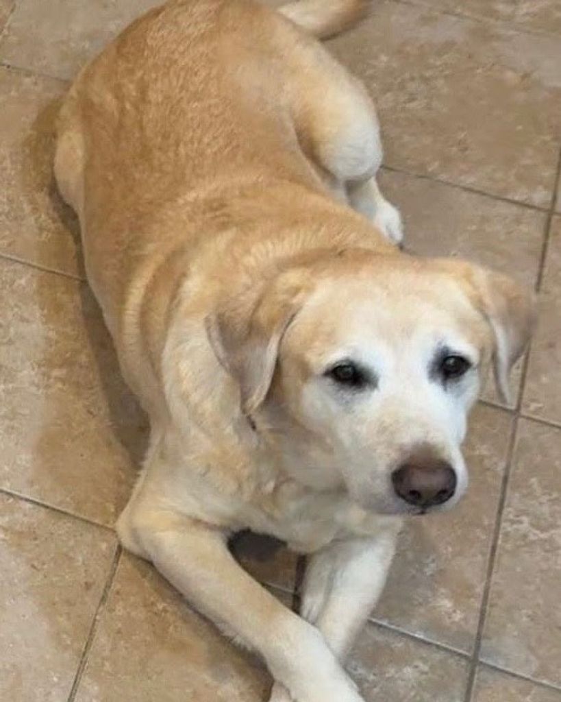 Bob Heaverin Profile Photo