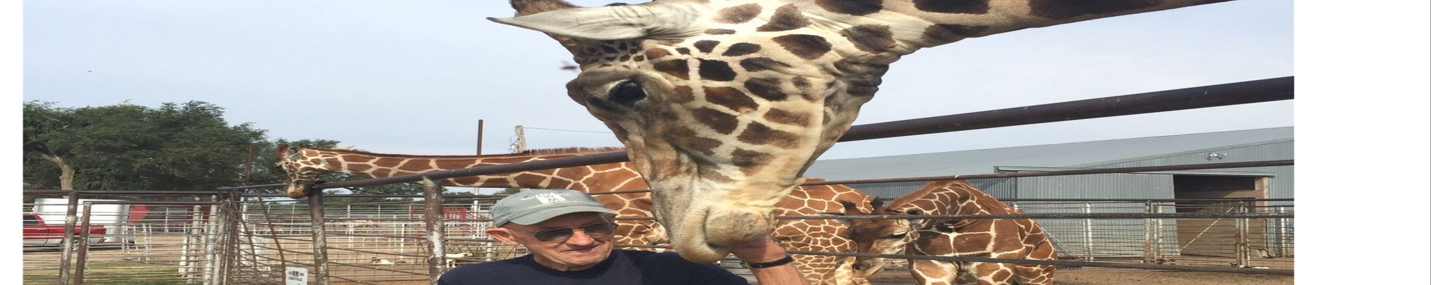 Cover for Herbert "Herb" Henry Hachmeister's Obituary