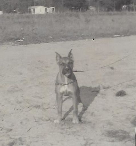 Donna Moree Webb photo gallery thumbnail 23 of 48