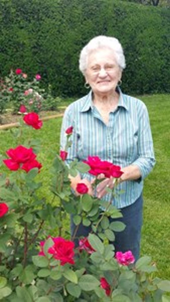 Dorothy Neichter Schevetto