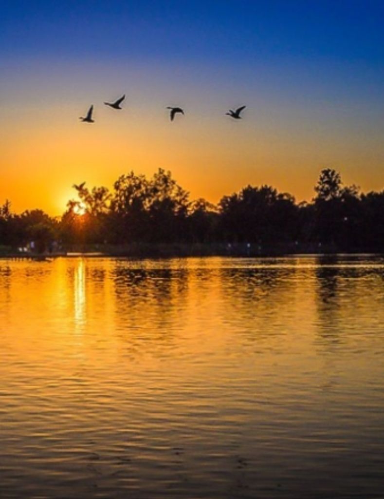 Michael Thomas Workman