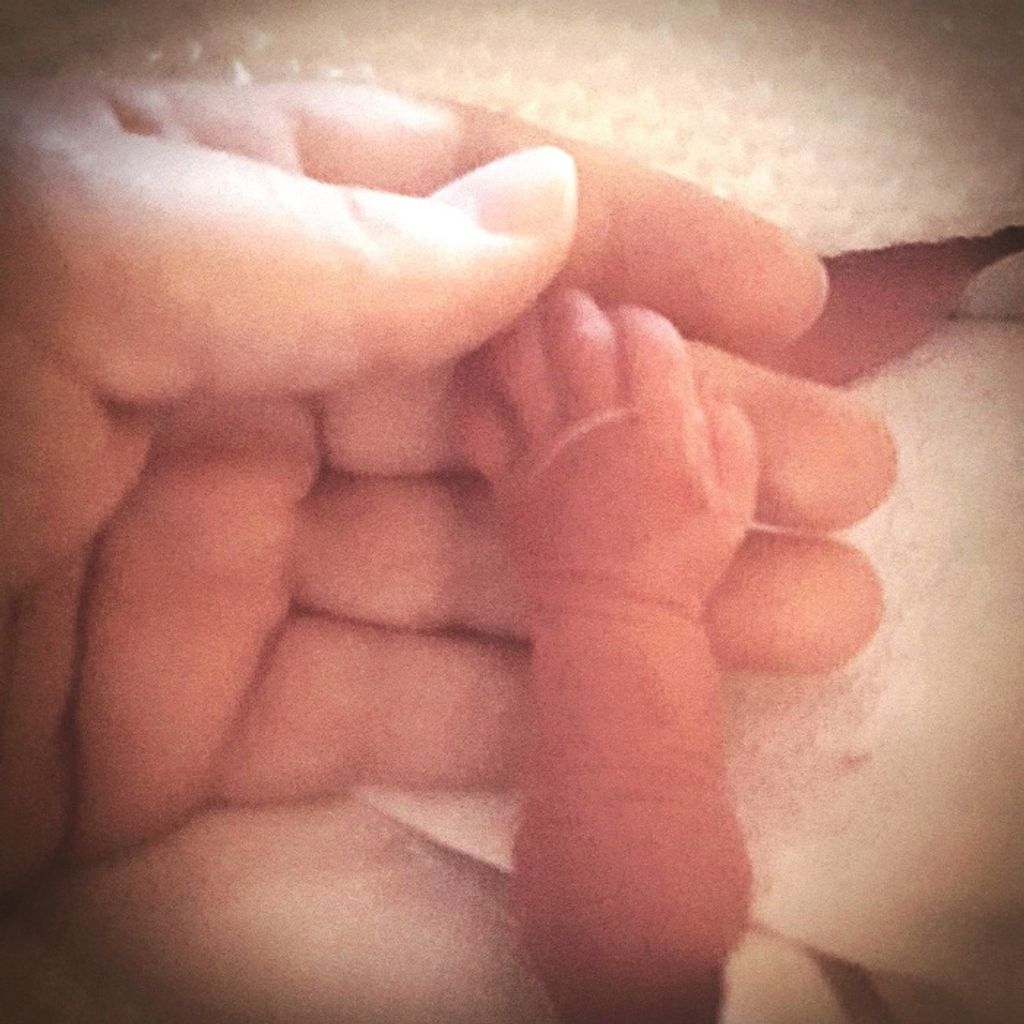 Alexis Jae-Lynne Stebbins