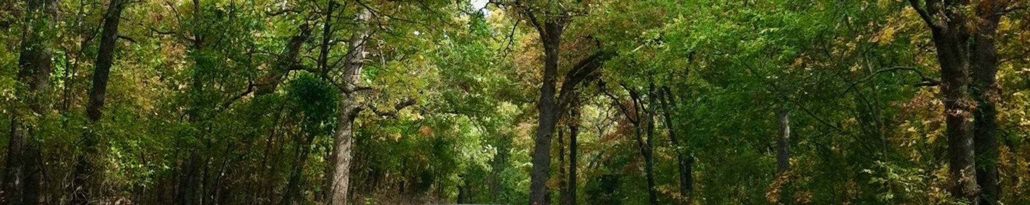 Cover photo for Marie Dunavin's Obituary