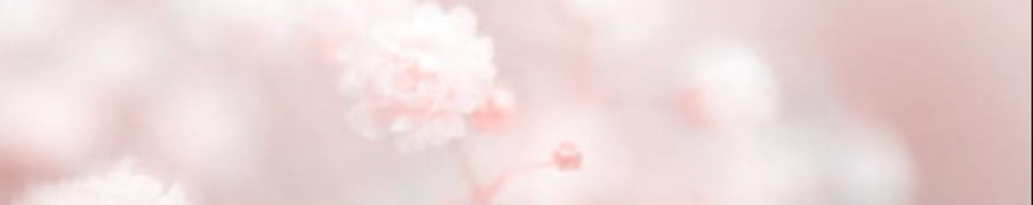 Cover photo for Pauline Janette Shaffer Hornsten's Obituary