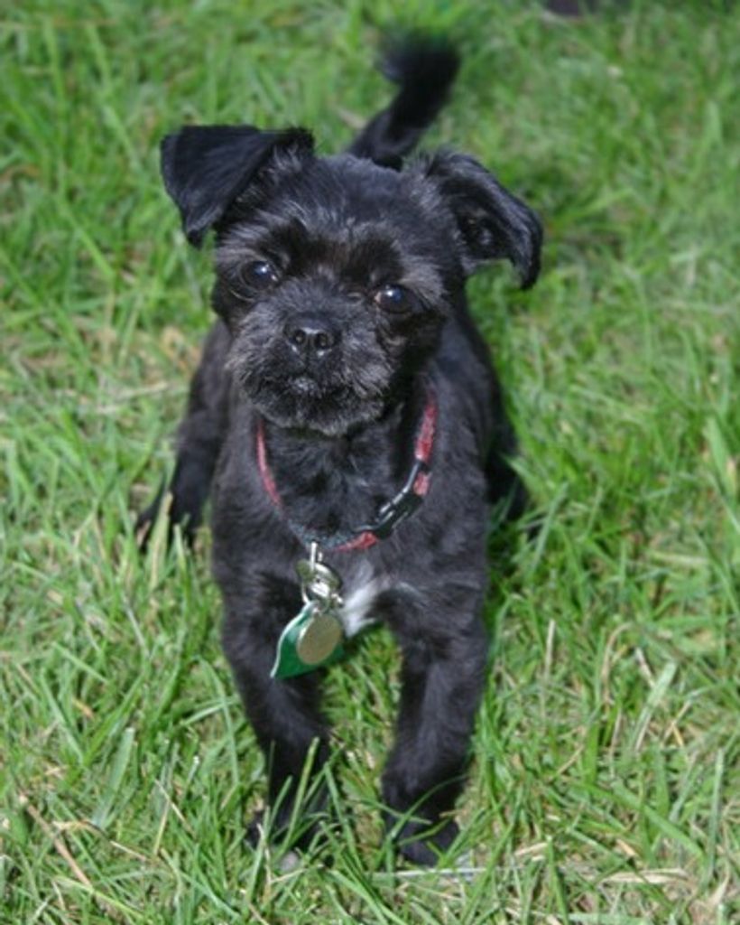Nashie Baby Brown Profile Photo