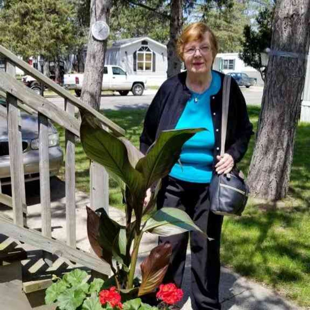 Sue Carol Vess Profile Photo