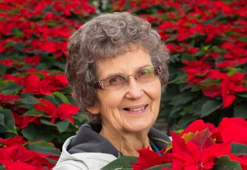 Phyllis Irene Schneider Profile Photo