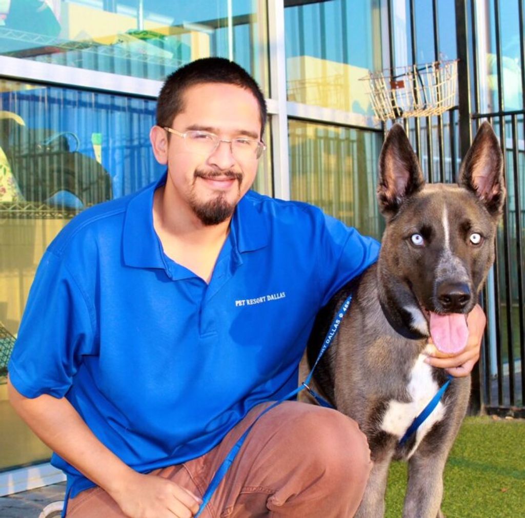 Daniel L Bautista, Jr