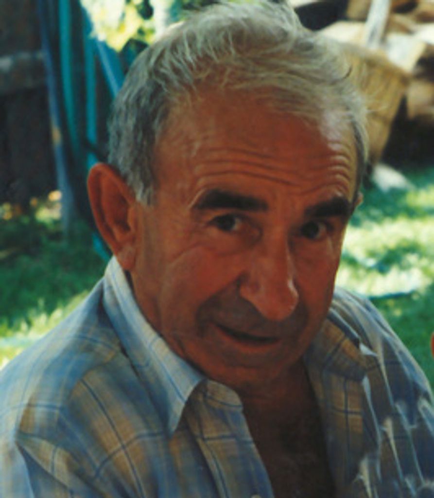 Domenico DiNino