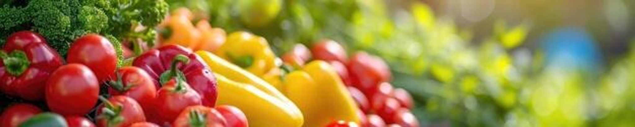 Cover for Nicola Di Lallo's Obituary