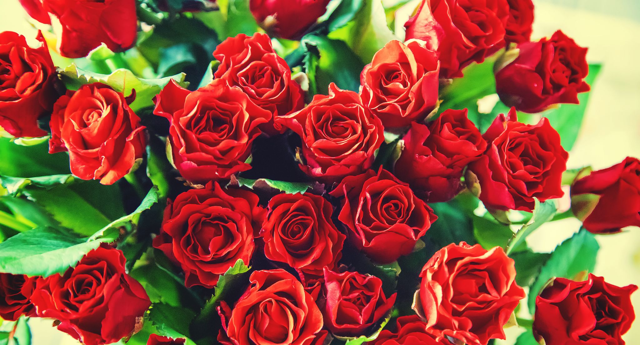 Cover for Corrine Rose Nekoliczak's Obituary