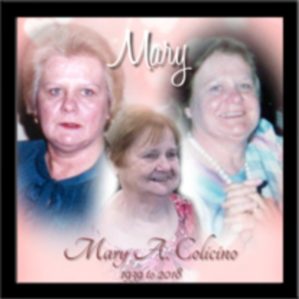 Mary A. Colicino Profile Photo