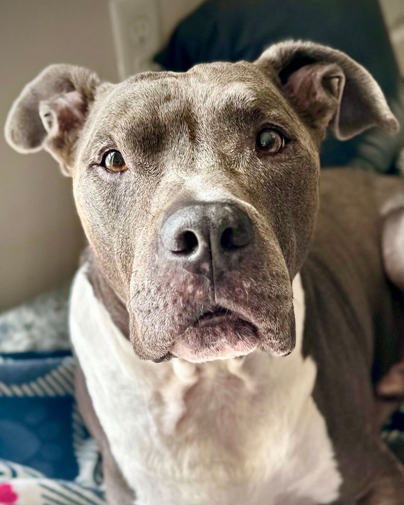Titan Gunther Profile Photo