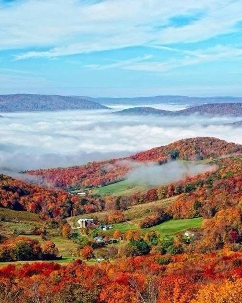 Martin Stephen Foster Profile Photo