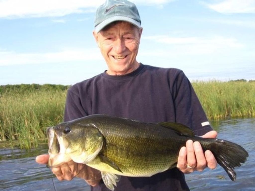 Terry Mitchell Profile Photo