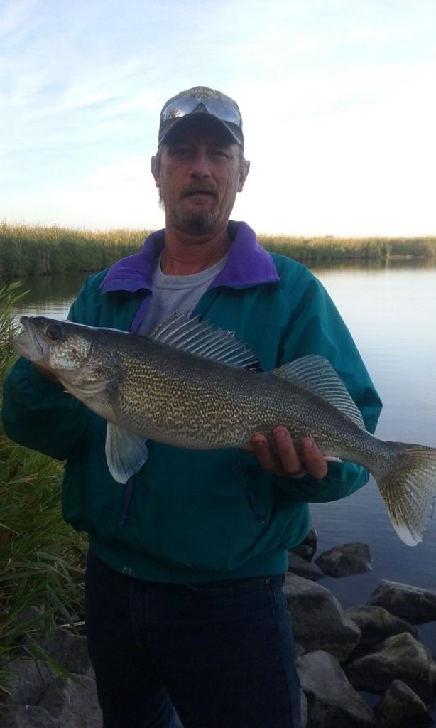 Jerry Berge Profile Photo