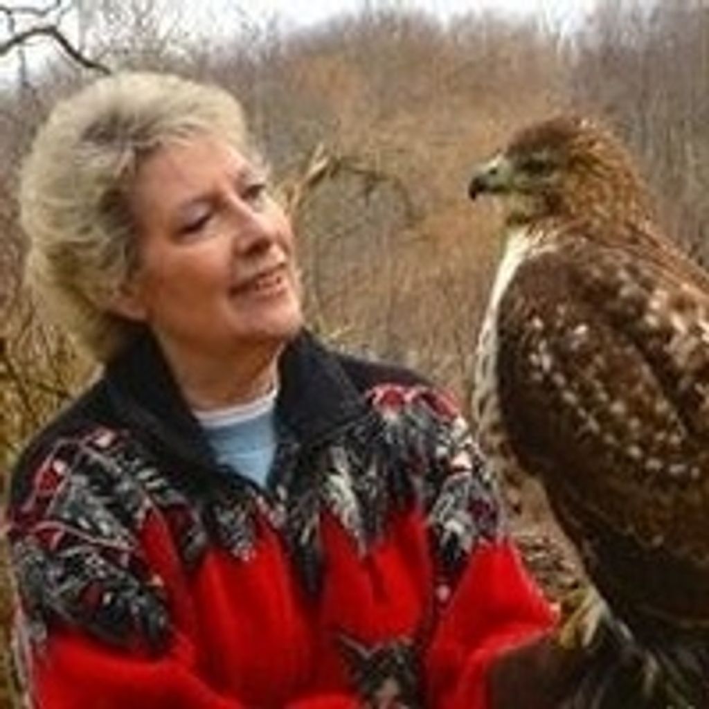 Janice Y Werneth