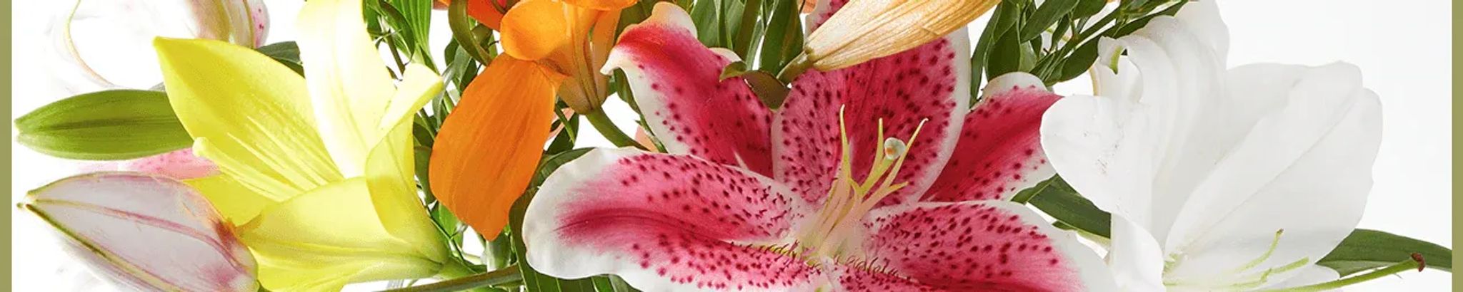 Cover photo for Lilith-Ann Faye Schaetzer's Obituary