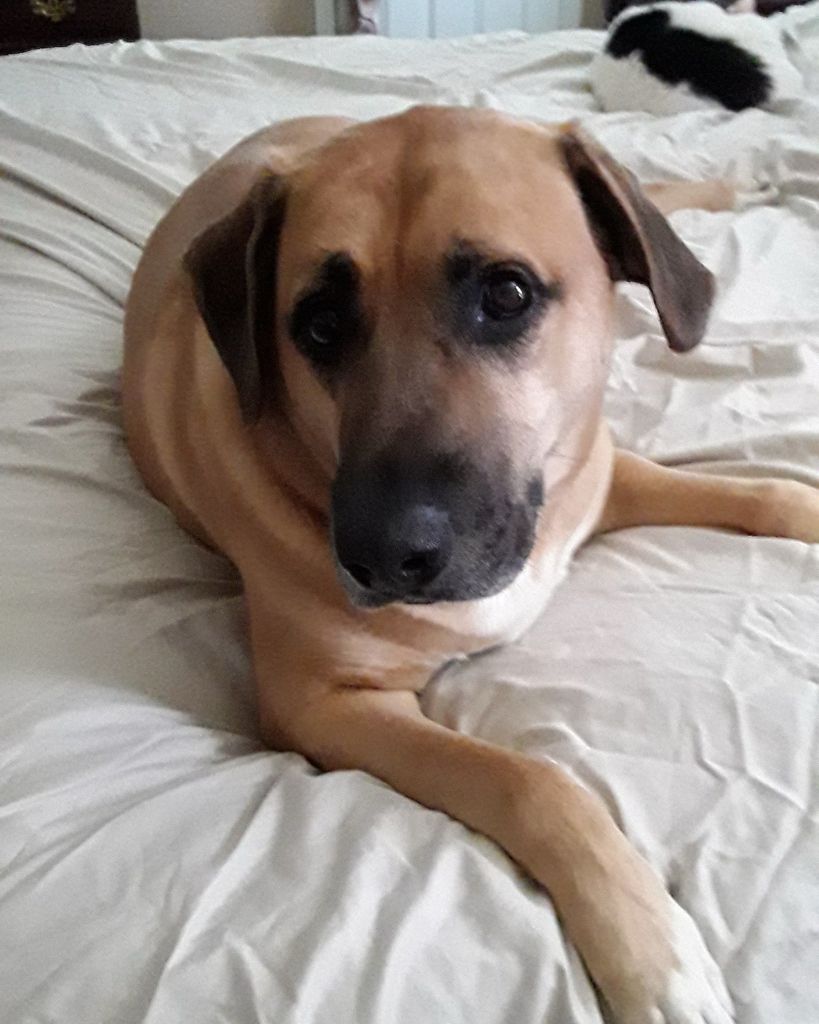 Charlie Beach Profile Photo