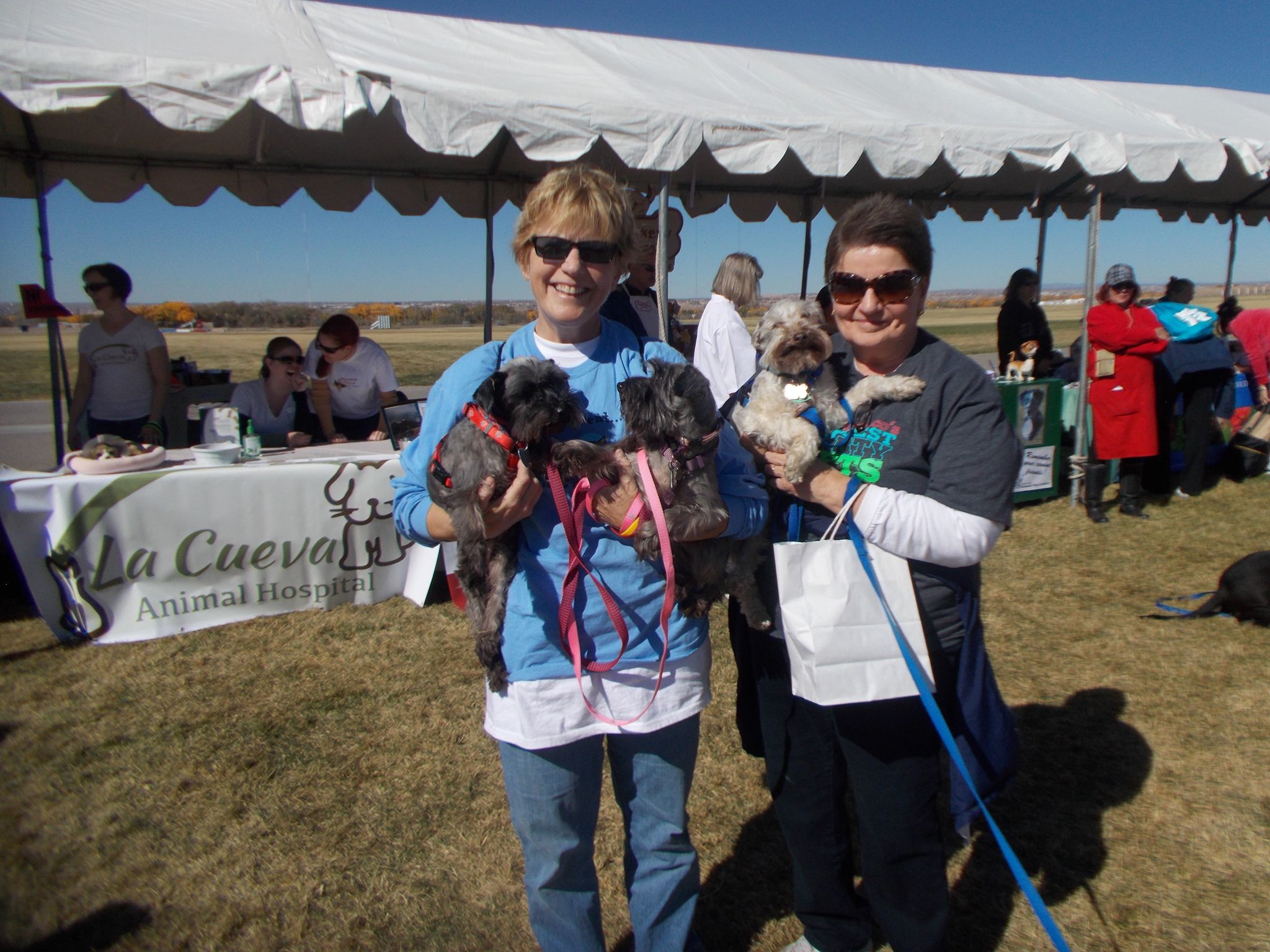MaryEllen Carr photo gallery image 3 of 3