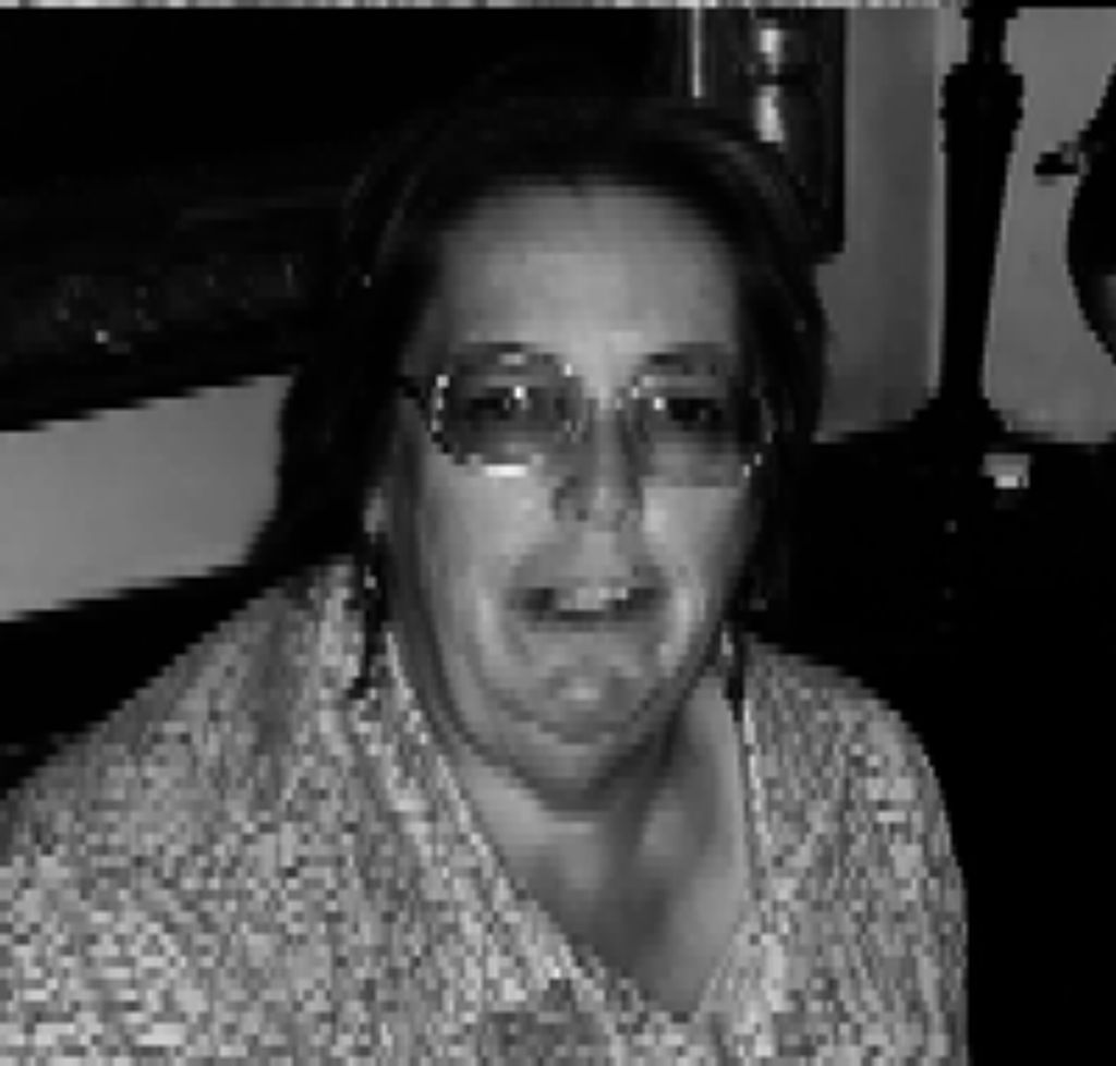 Mary Lou Hewlett Profile Photo