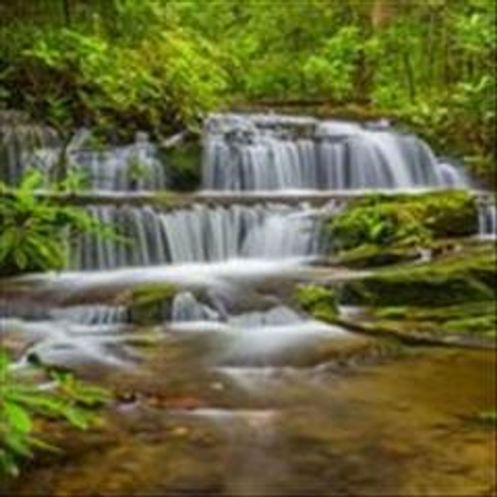 Carl Stanley White, Jr. Profile Photo