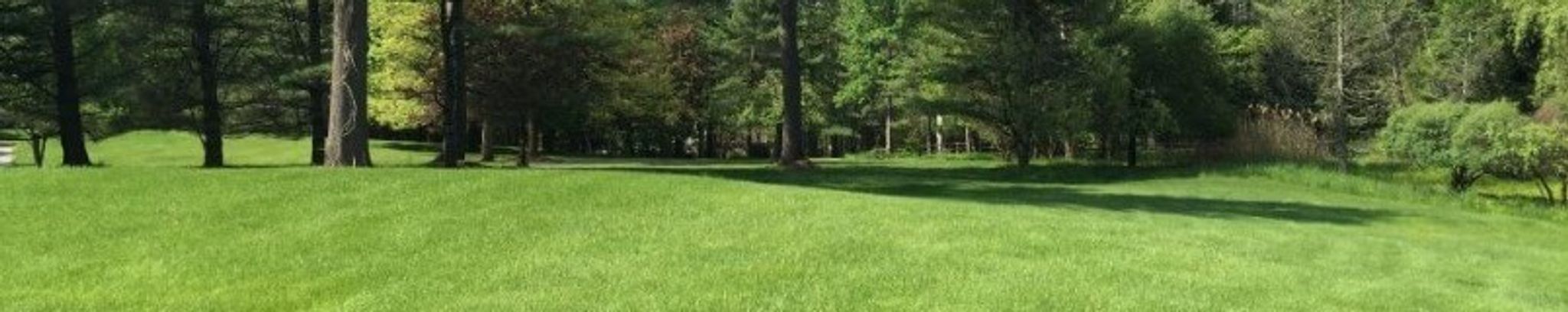 Cover photo for Jack  Woodson's Obituary
