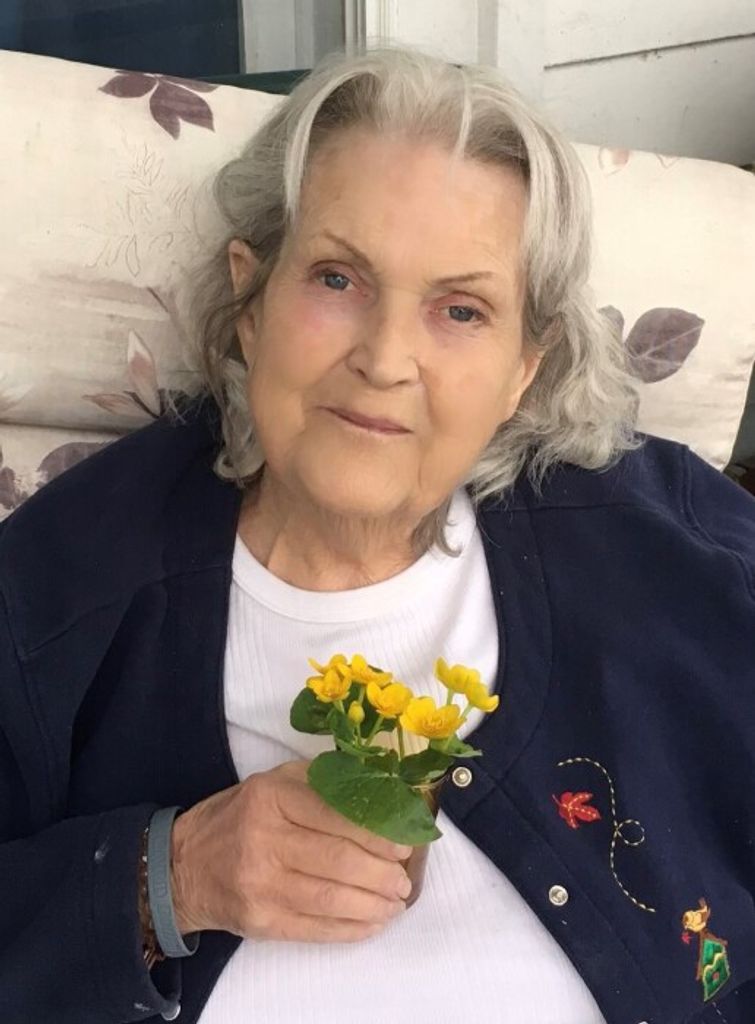 Diane M. (Paulley)  Tunison