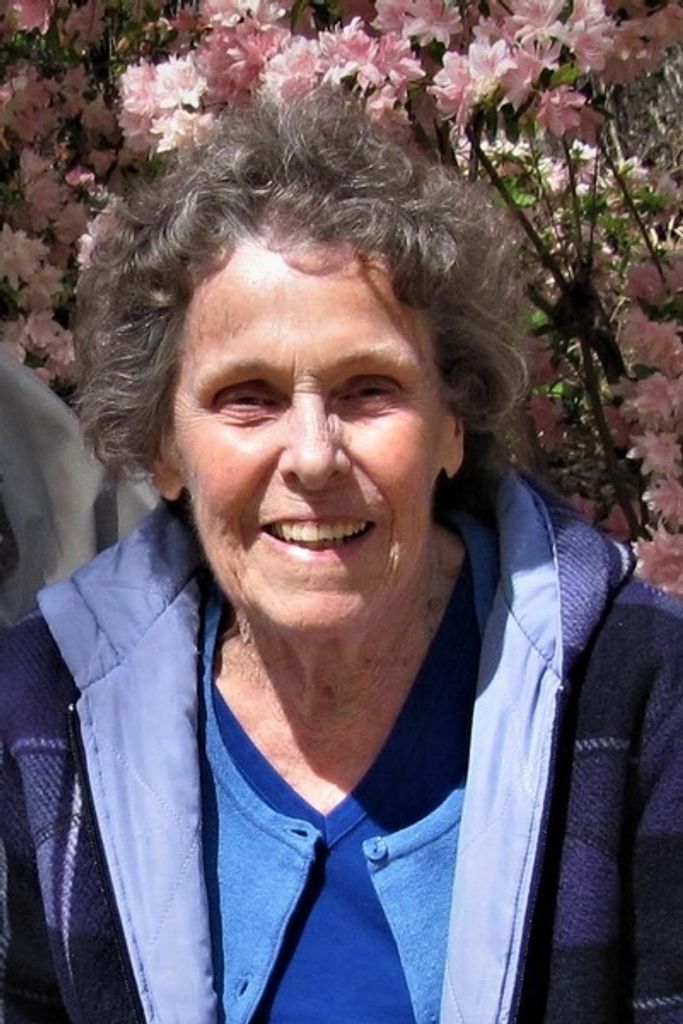 Susan M Scotland Profile Photo