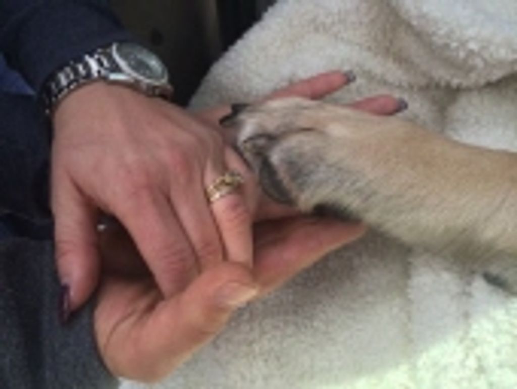 Gracie Mae Schrepper Profile Photo