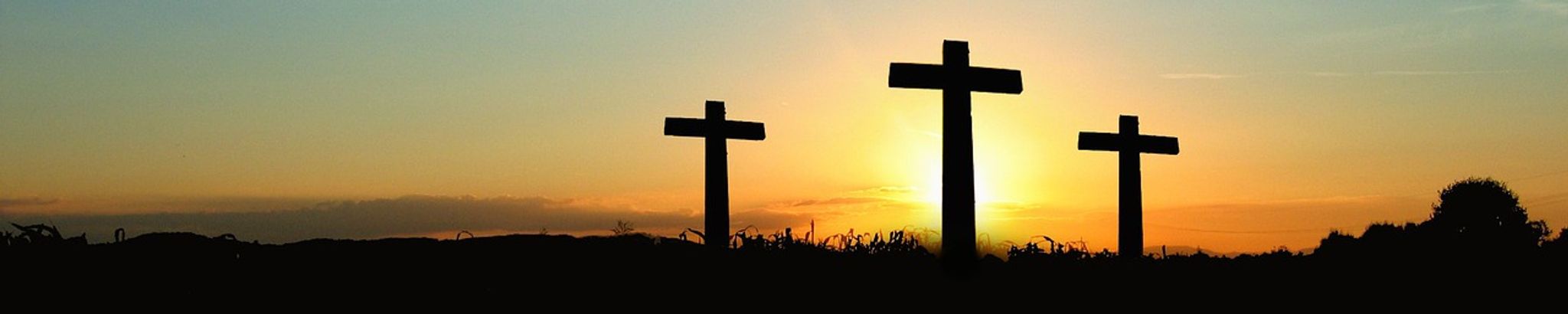 Cover for Dorothy Linnea Swartz's Obituary