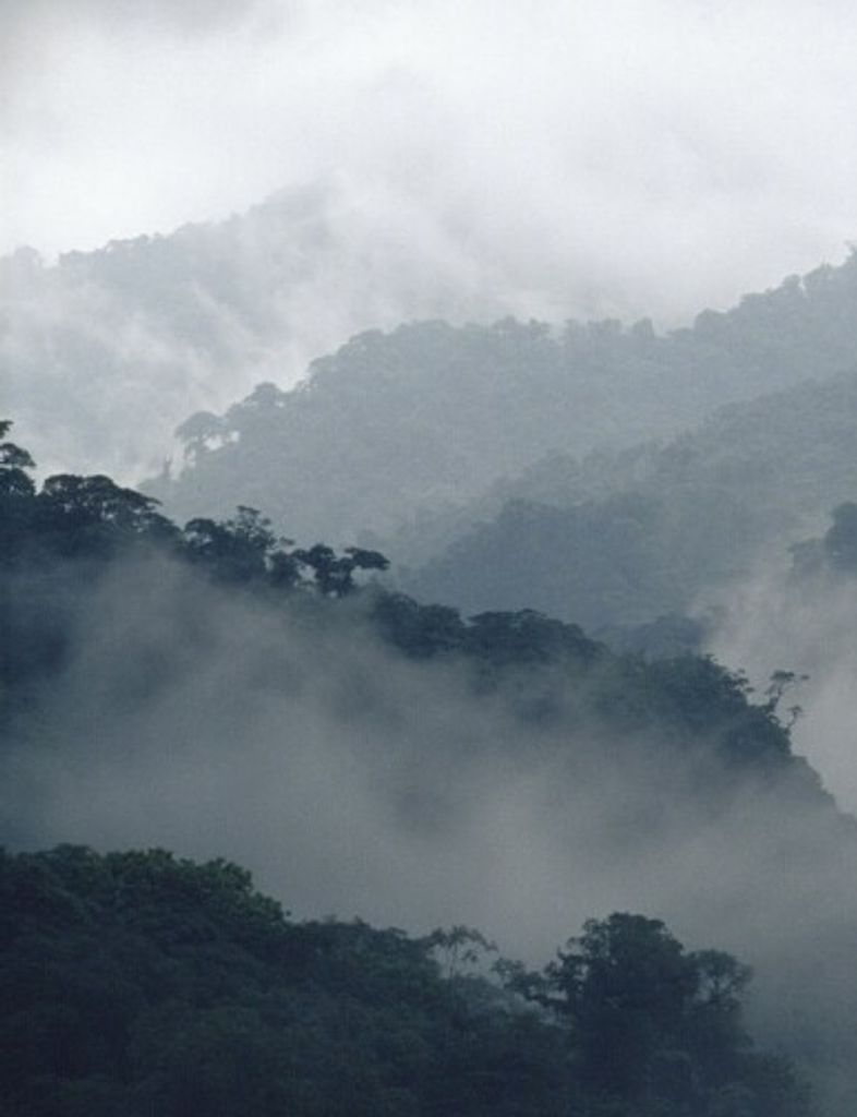 Edward Hershell Hochstatter