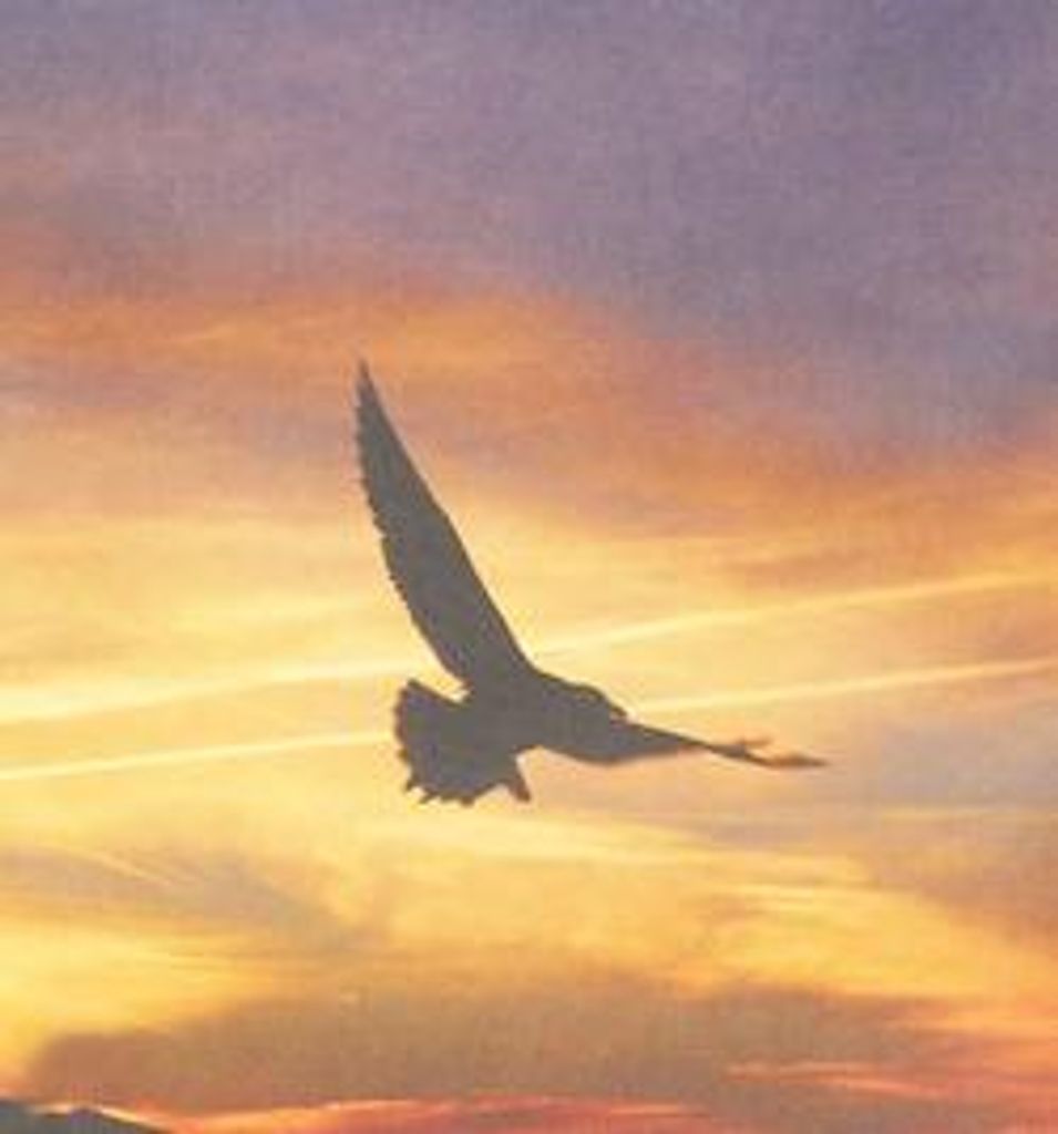 Leonard Scott Breeden Profile Photo