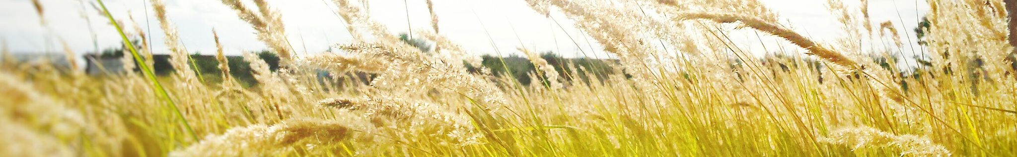 Cover photo for Jeffrey Eppley's Obituary