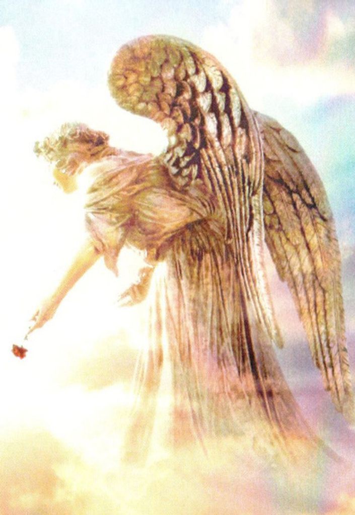 Virginia Elsie Lawera