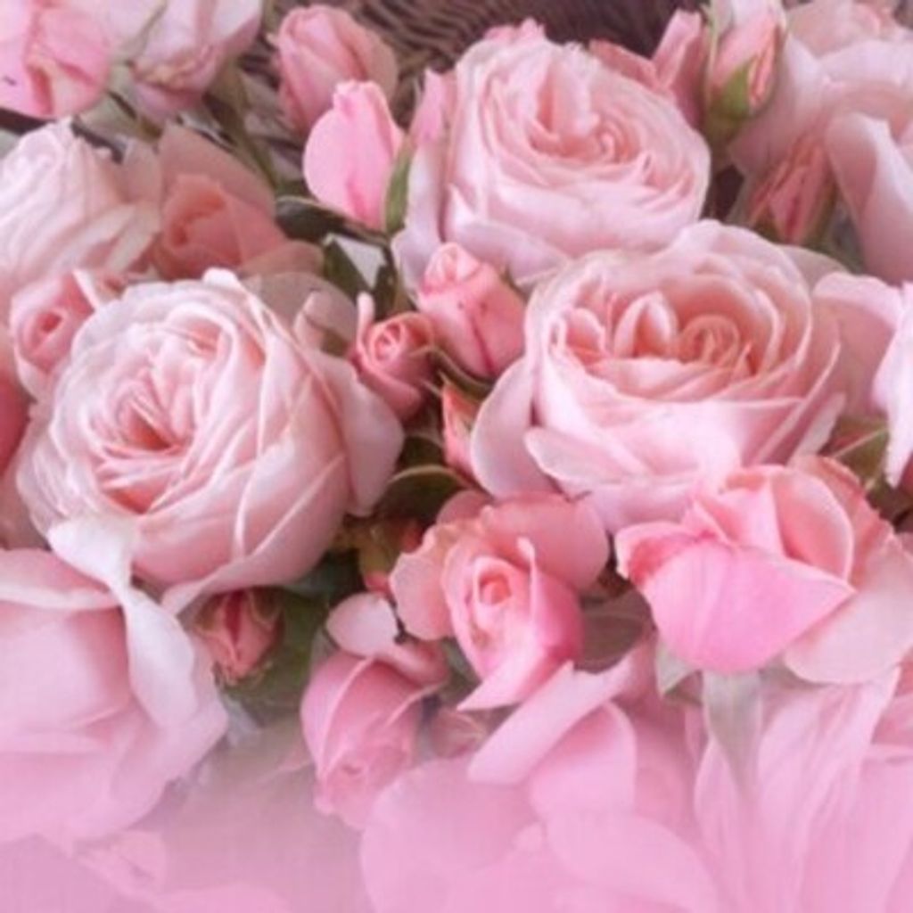 Kim Elaine Milbrandt