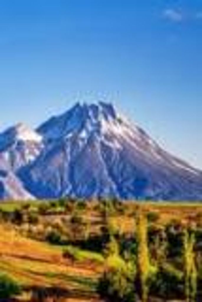 Mary  Ruth Mcdowell Profile Photo