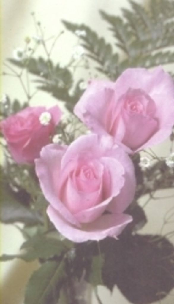 Alice Hinken Profile Photo